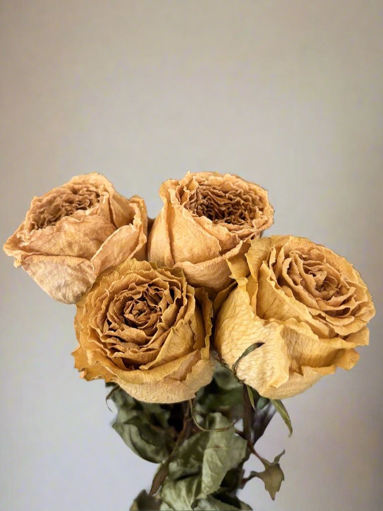 Bouquet de 10 tiges de roses du patrimoine