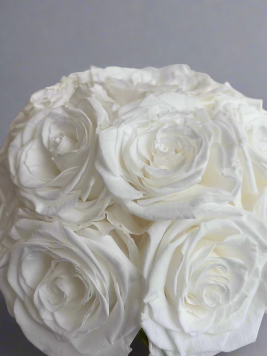 Luna-18 Roses éternelles