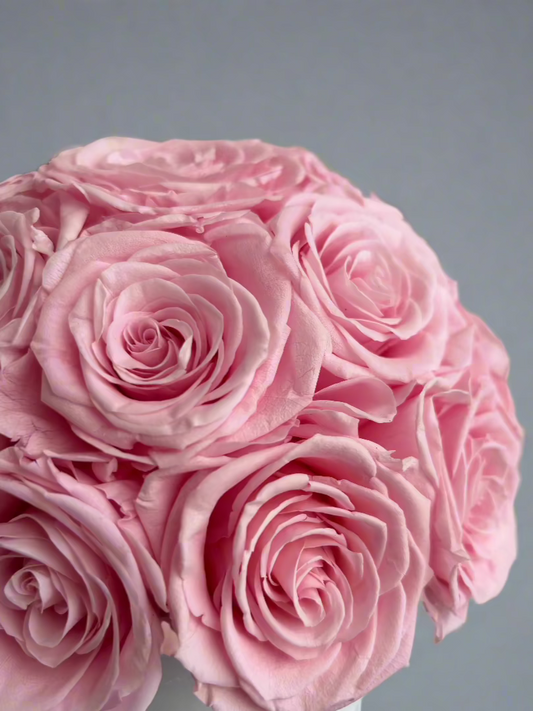 Munay-18 Roses éternelles