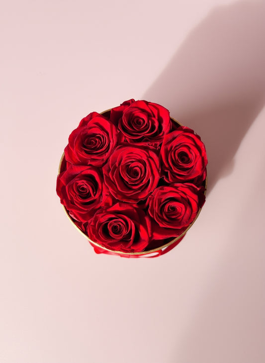 Noir Élite-7 Rosas para siempre