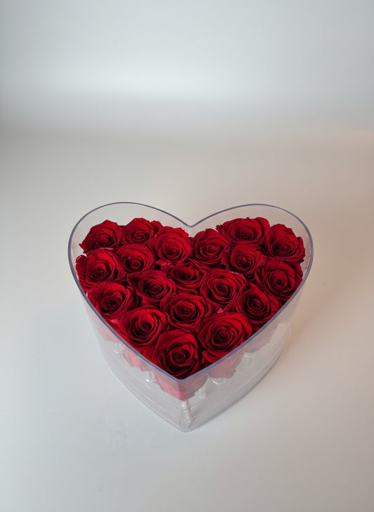 Corazón eterno - 19 rosas eternas