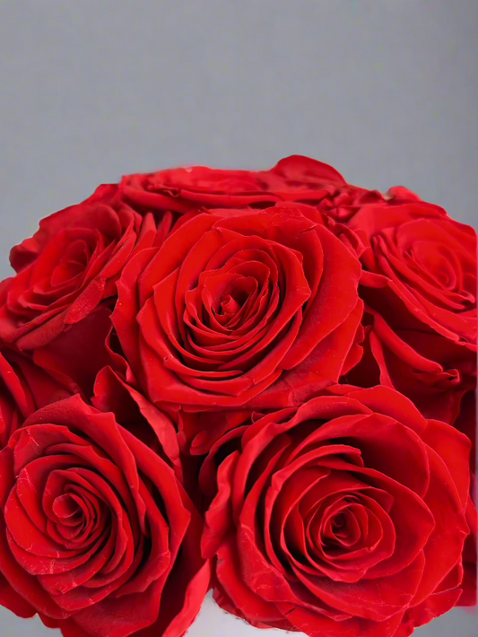 Inti-18 Roses éternelles