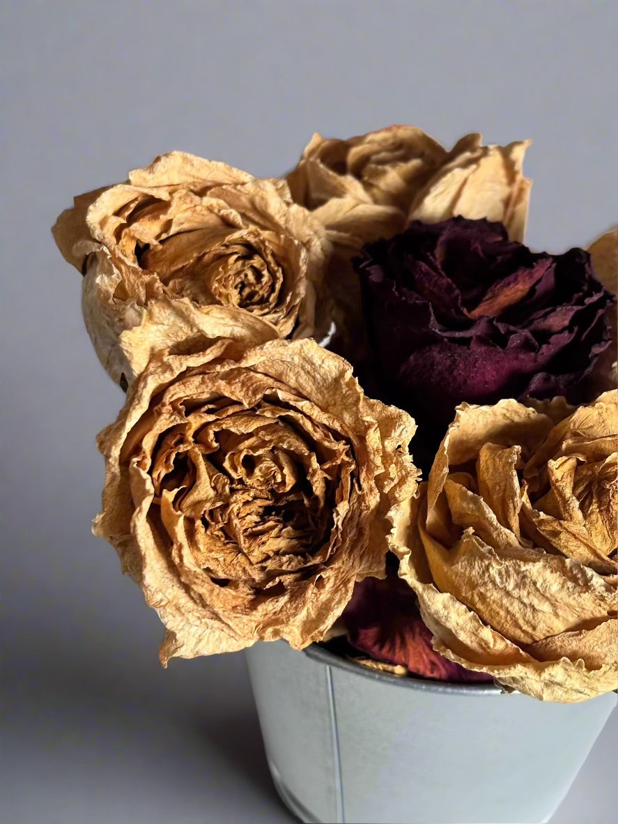 Seau de fleurs éternelles