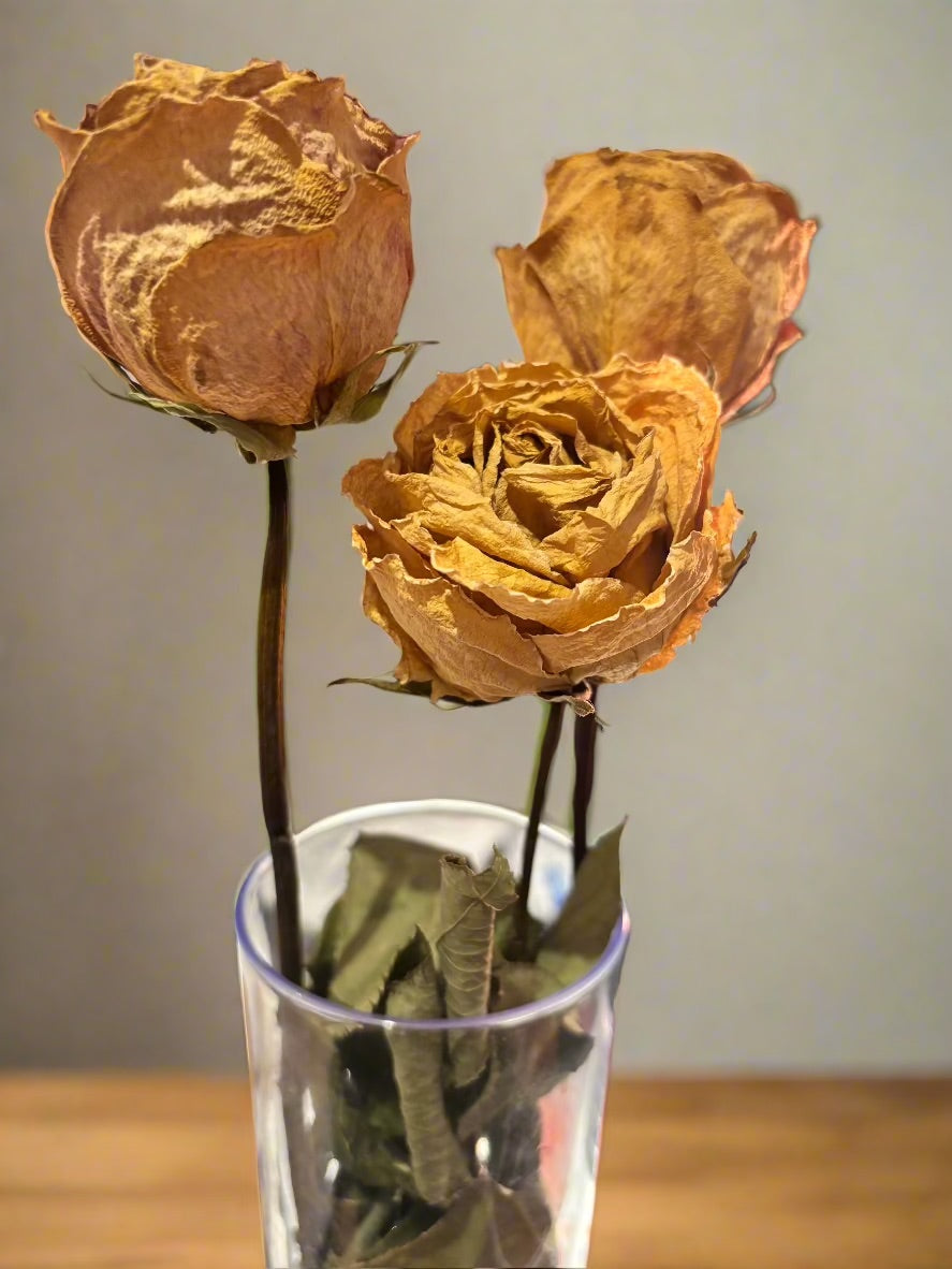 Coffret Élégance séchée