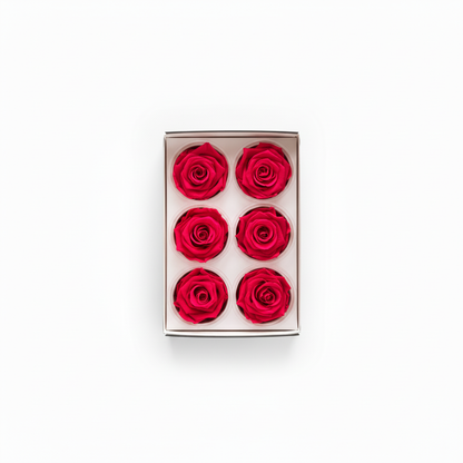 6 Pack Preserved Roses – Hot Pink v4