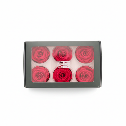 6 Pack Preserved Roses – Studio 12