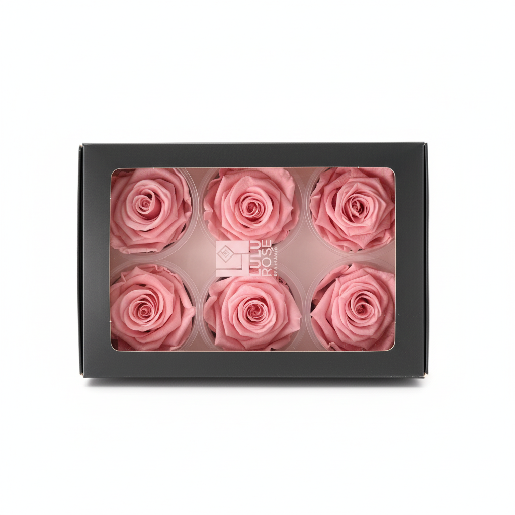 6 Pack Preserved Roses – Studio 18