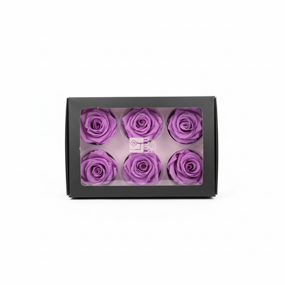 6 Pack Preserved Roses – Studio 21