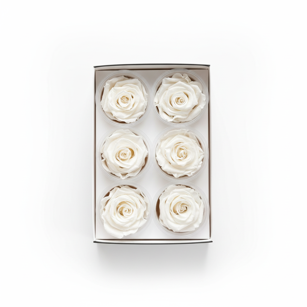 6 Pack Preserved Roses – Studio 31