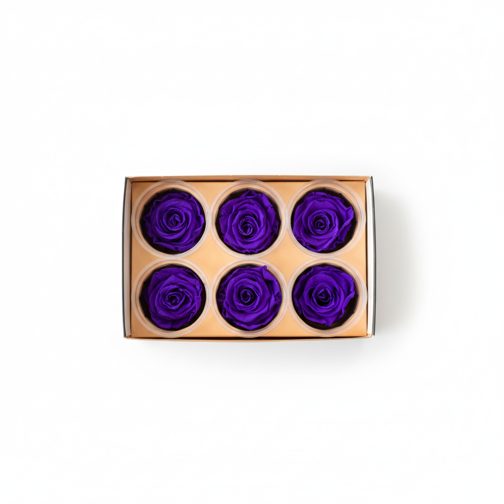 6 Pack Preserved Roses – Studio 7