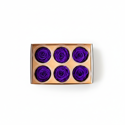 6 Pack Preserved Roses – Studio 7