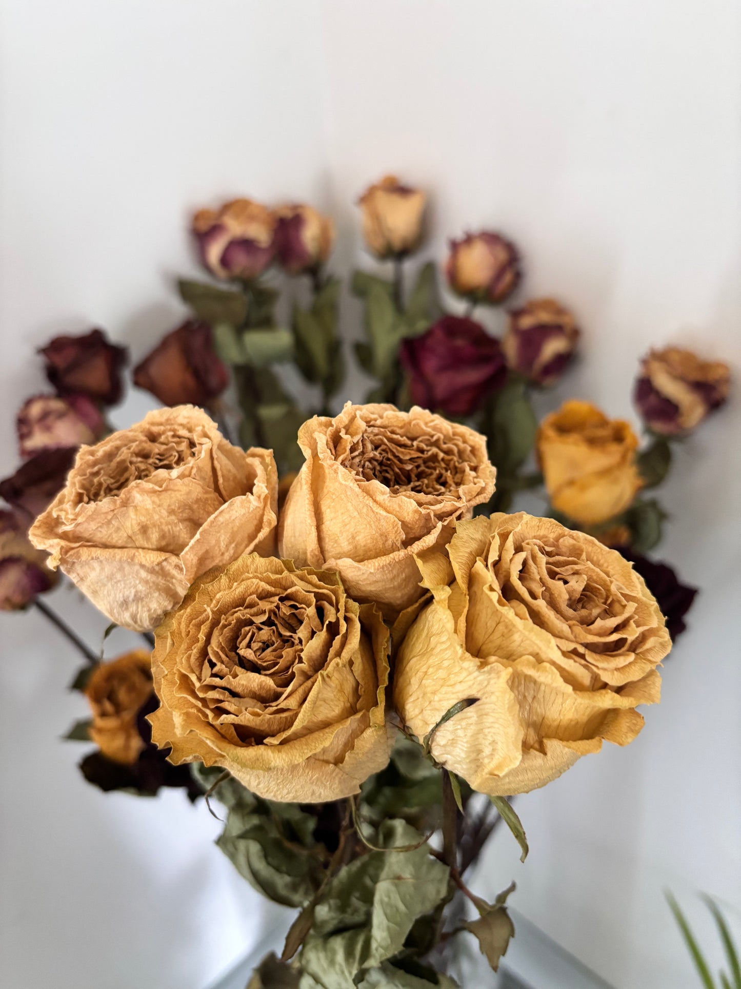 Heritage Roses 10 Stem Bouquet