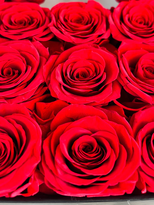 Rosalia-9 Roses éternelles