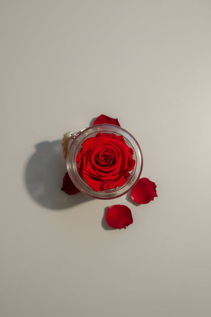 Eternal Rose in Glass Jar