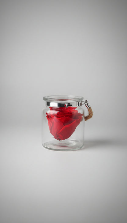 Eternal Rose in Glass Jar