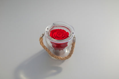 Eternal Rose in Glass Jar