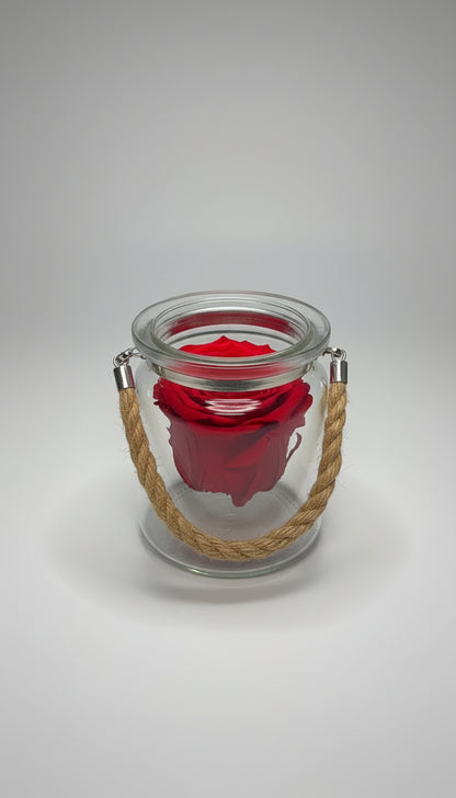 Eternal Rose in Glass Jar
