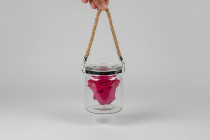 Eternal Rose in Glass Jar