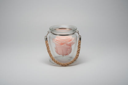 Eternal Rose in Glass Jar