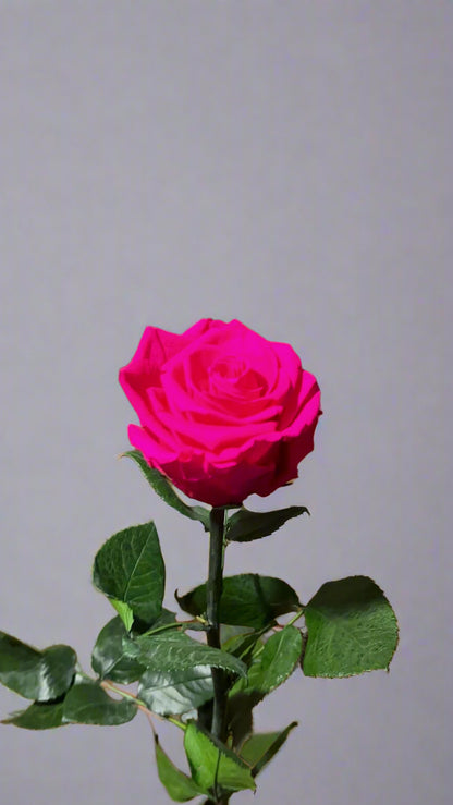 Ñawi Rosa