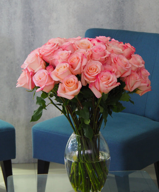 Premium Pink Roses