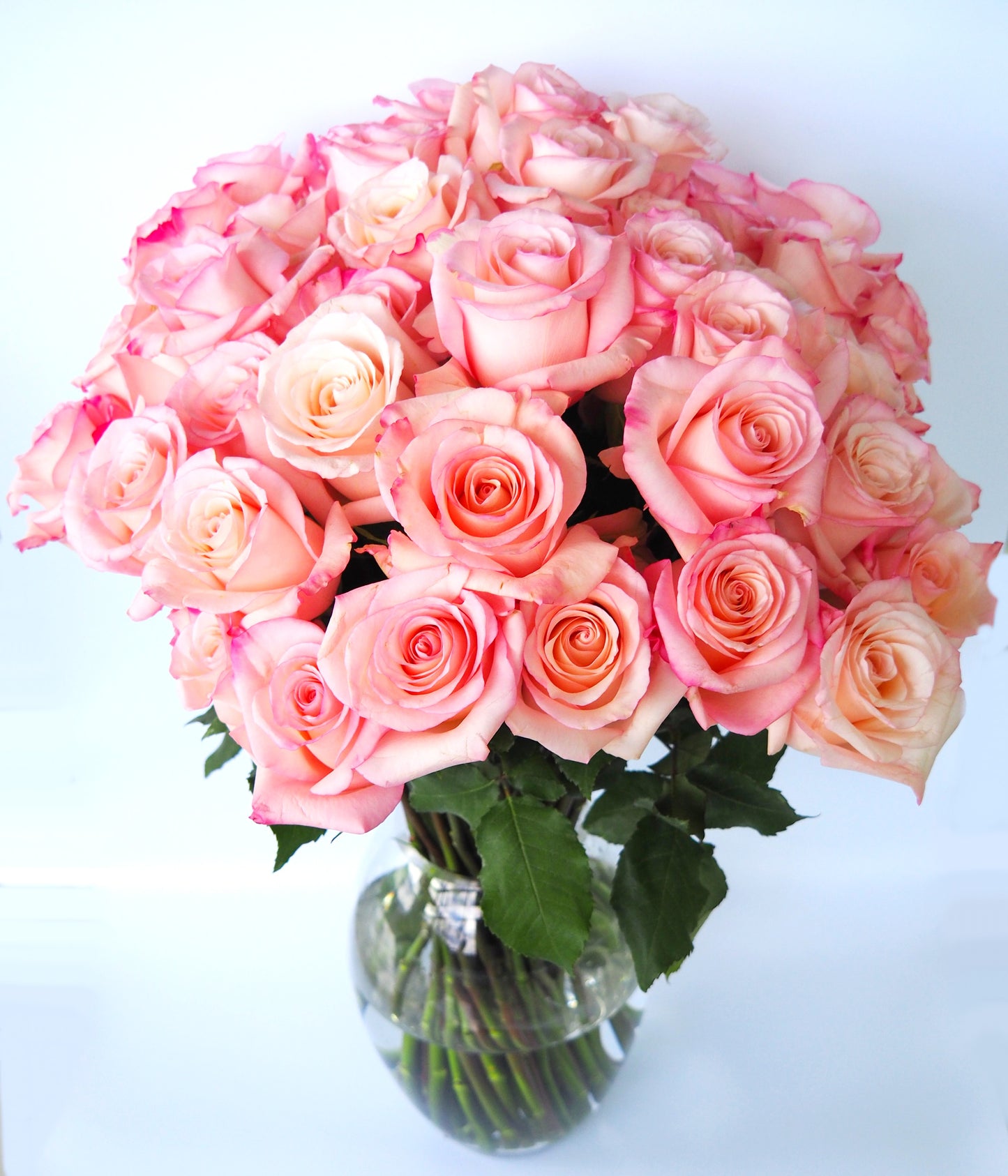 Premium Pink Roses