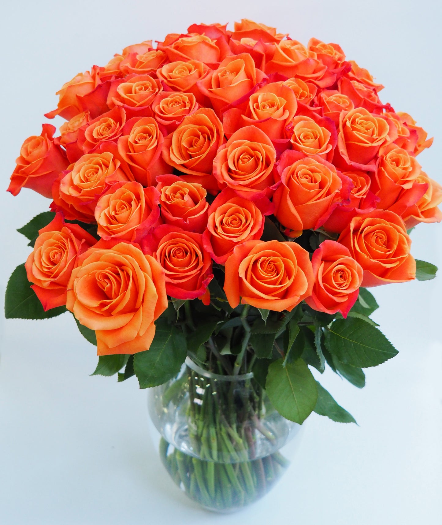 Premium Orange Roses