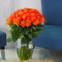 Roses oranges de qualité supérieure