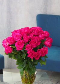Roses rose vif de qualité supérieure
