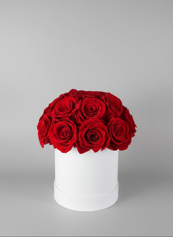 18 Roses Éternelles