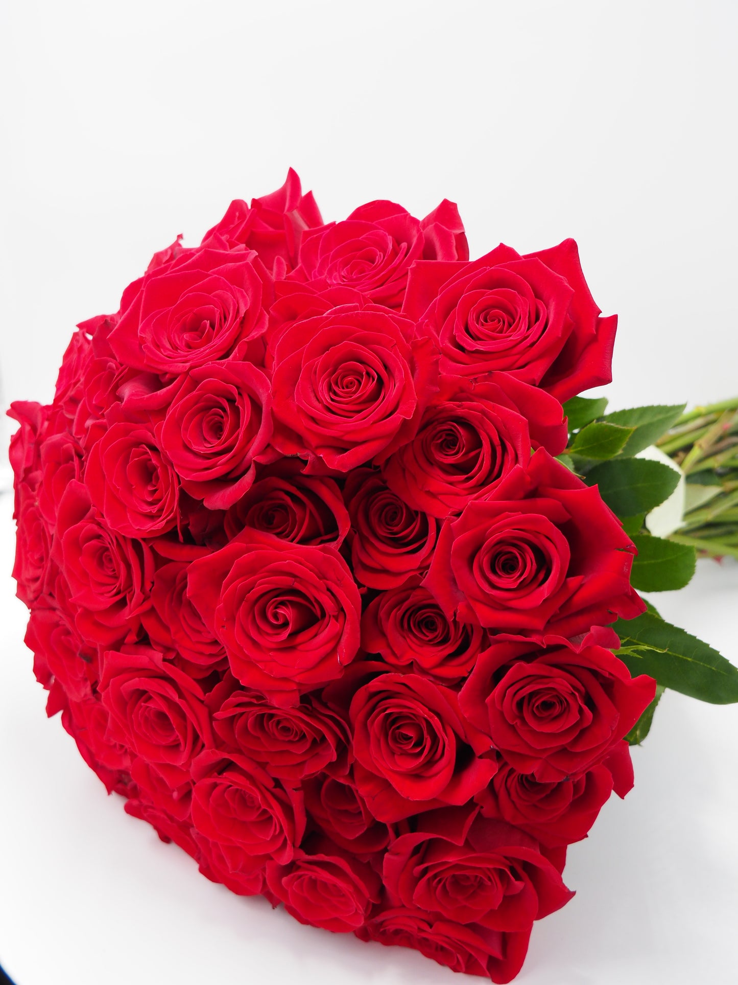 Premium Red Rose