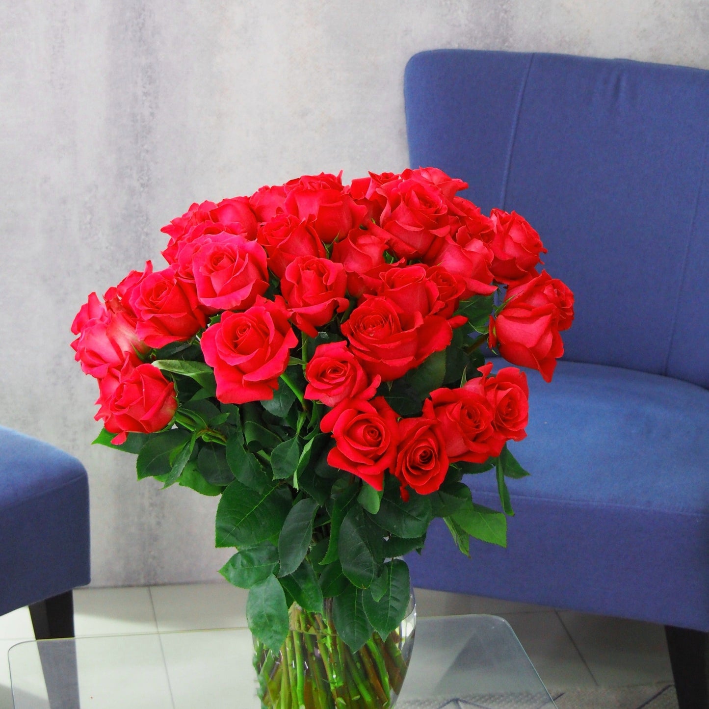 Premium Red Rose