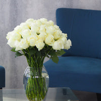 Roses blanches de qualité supérieure