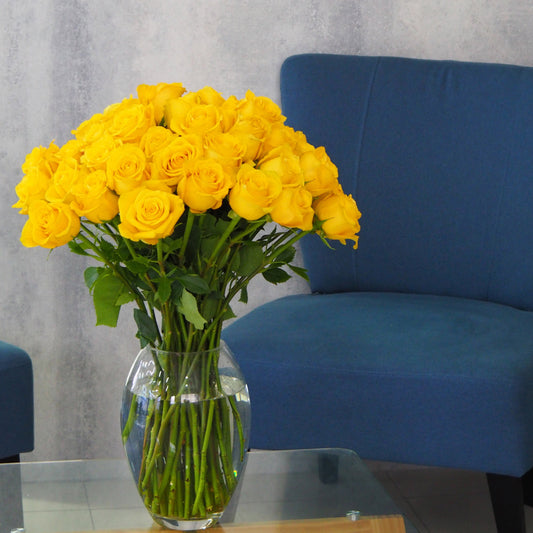 Premium Yellow Roses