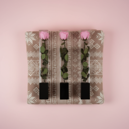 Bundle — Overhead Flat Lay