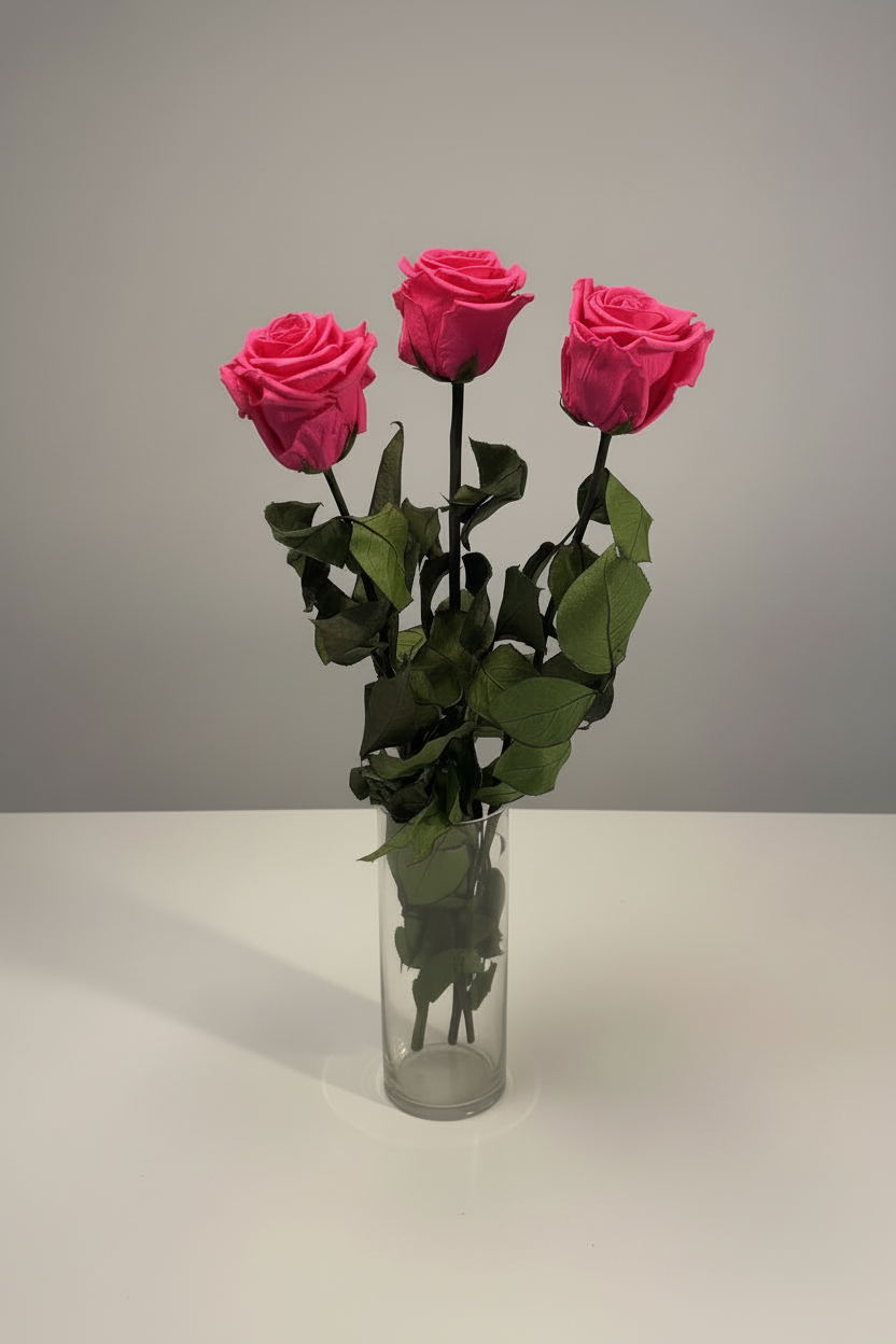 Hot Pink Roses in Glass Vase