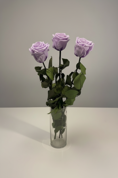 Lilac Light Purple Roses in Glass Vase