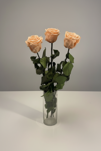 Peach Roses