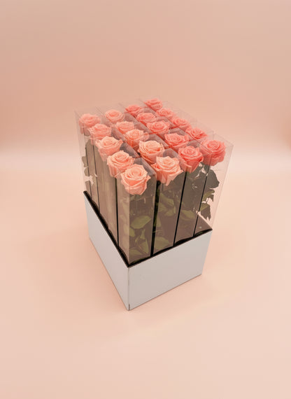 Premium Preserved Rose