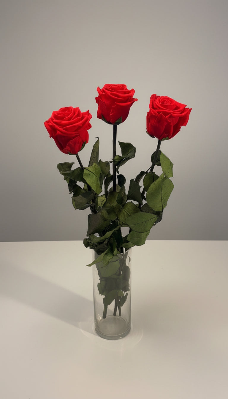 Trio of Premium Preserved Roses