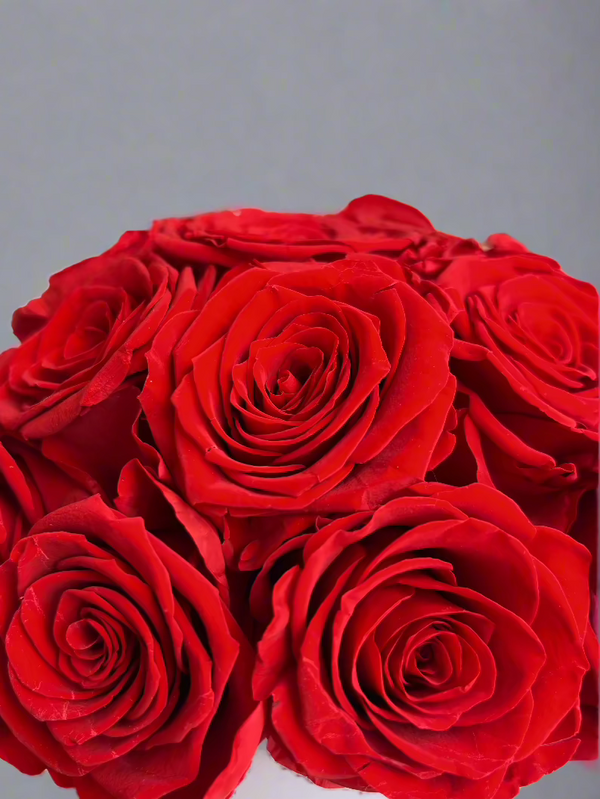 18 Roses Éternelles