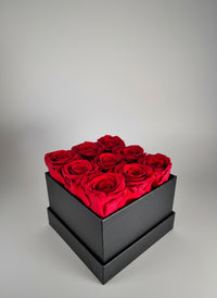 Rosalia-9 Forever Roses