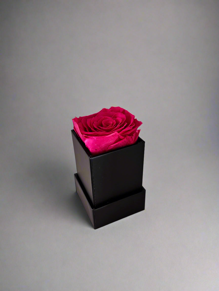 Forever Roses | Elegant Long-Lasting Arrangements | T’ika Blooms – T ...