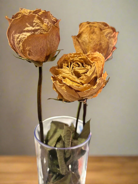 Coffret Élégance séchée