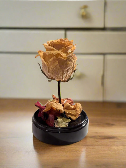 Dôme de rose intemporel