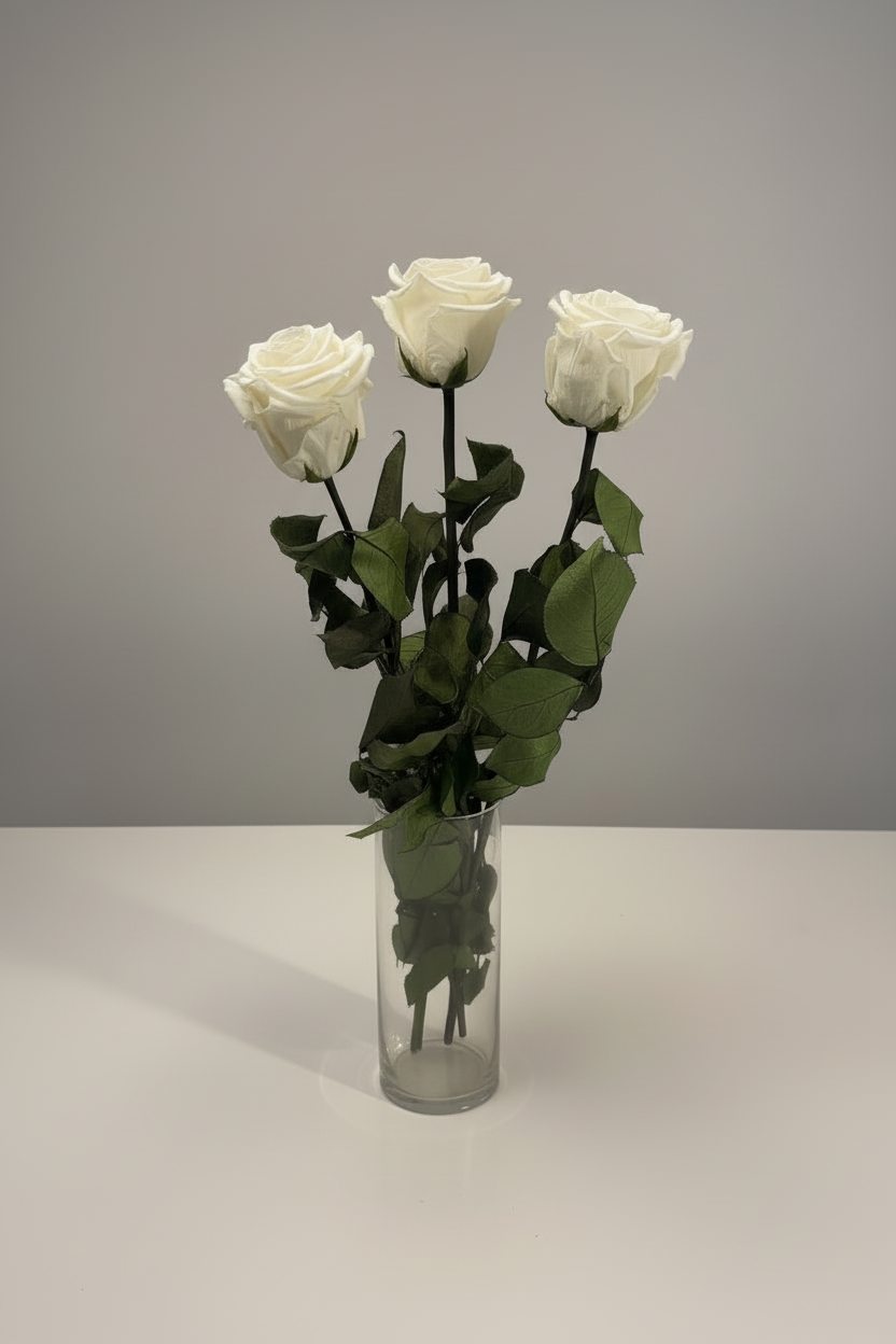 White Roses in Glass Vase